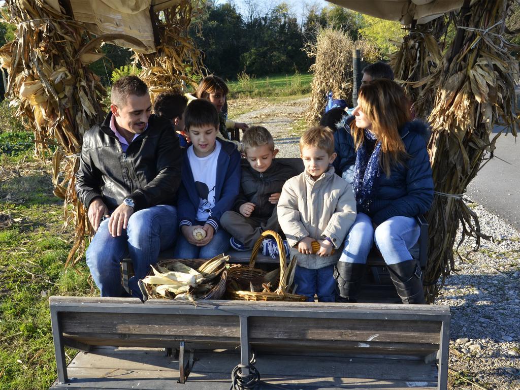 Lataria Dei Magredi Villa Vivaro Bagian luar foto